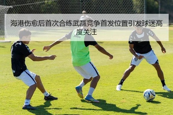 海港伤愈后首次合练武磊竞争首发位置引发球迷高度关注